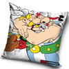 Vankúšik Asterix a Obelix 8003 40x40 cm