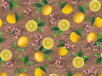 PVC Obrusy s Textilným Podkladom Mirella 196/A