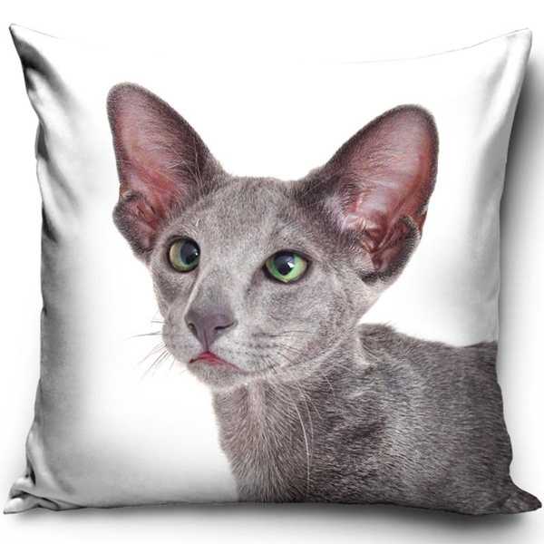 Obliečka na Vankúš PNL191021 CAT 40x40 cm