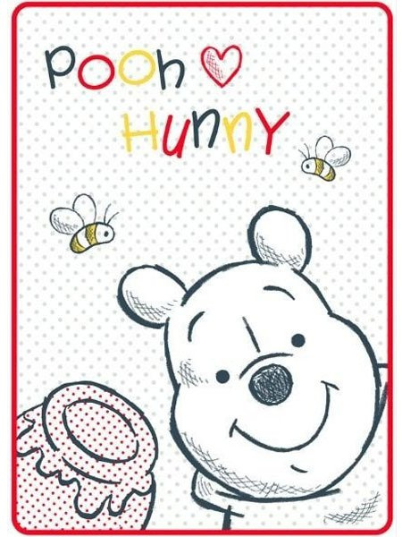 Deka z Mikrovlakna Disney Macko Pu 