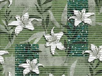 Kúpelňové Predložky Penové 65 Aqua Mat 4066-1 v Rolkách