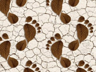 Kúpelňové Predložky Penové 65 Aqua Flex 6019-2 v Rolkách