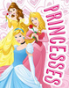 Deka z Mikrovlakna Disney Princezné 02