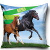 Obliečka na Vankúš Môj Krásny Kôň Animal Planet Mustang AP16-1009 40x40 cm