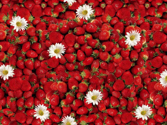 PVC Obrusy s Textilným Podkladom Florista 01156-00